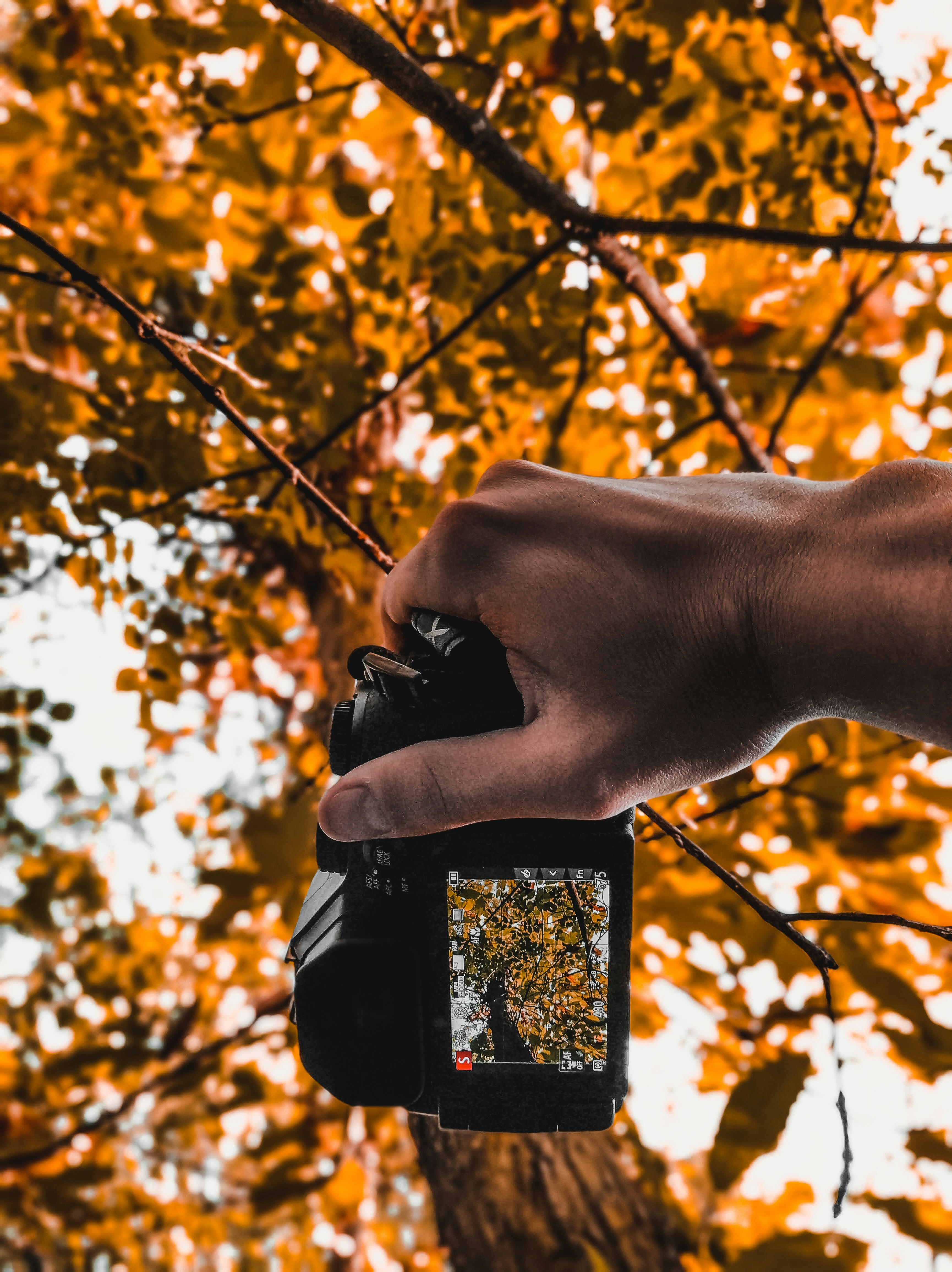 가을 영상 촬영 아이디어