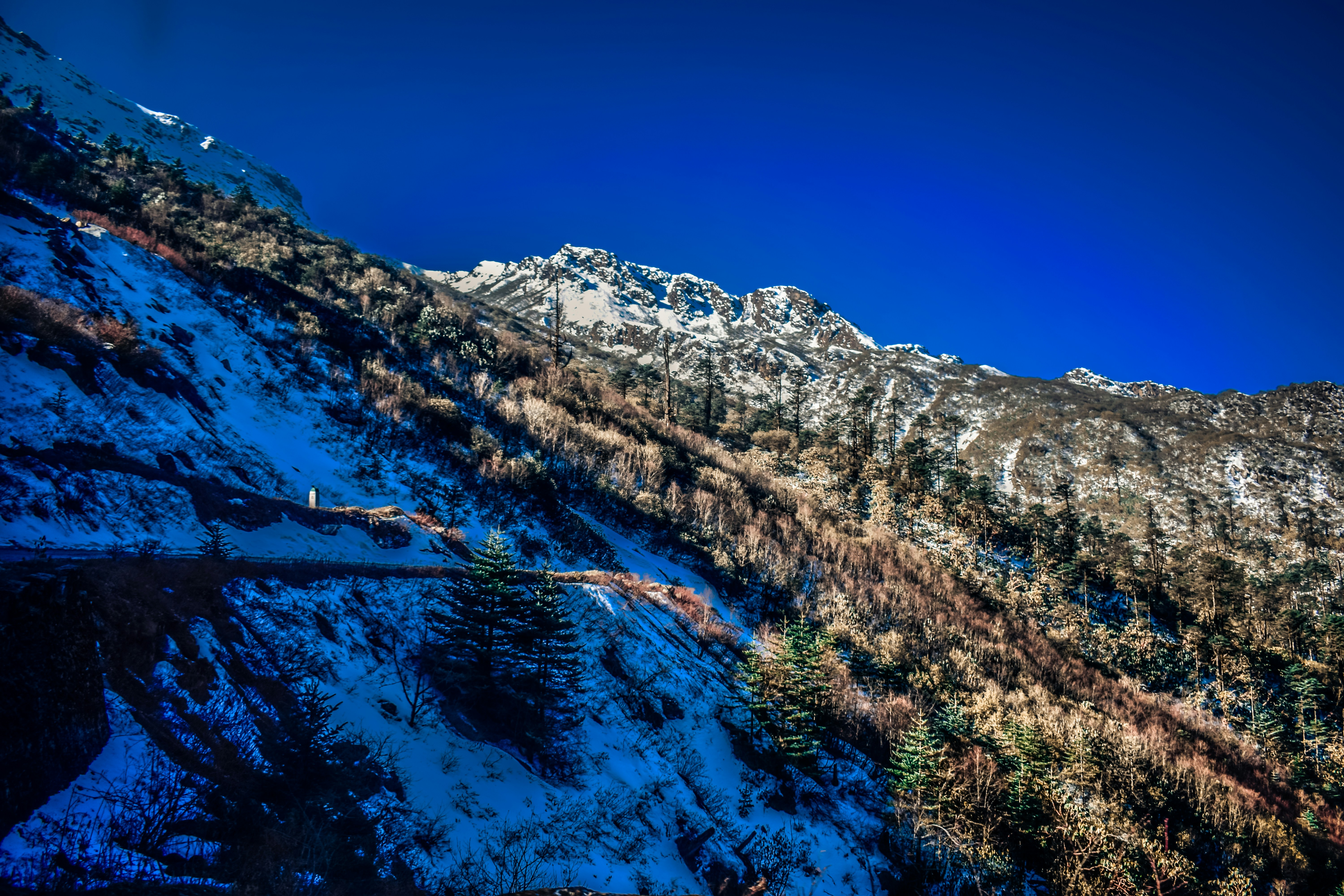 photo of mountain and forest