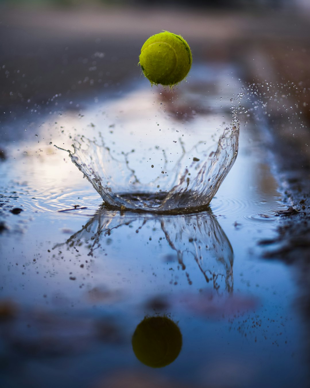 green tennis ball bouncing on water