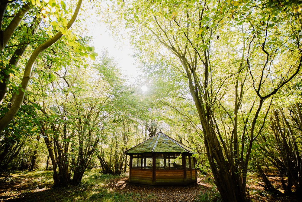 brown and green gazebo surrounded by trees