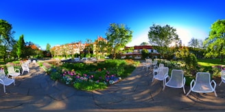 An inviting outdoor space with a mix of lawn, flower beds, and minimalist garden furniture bathed in warm sunlight.