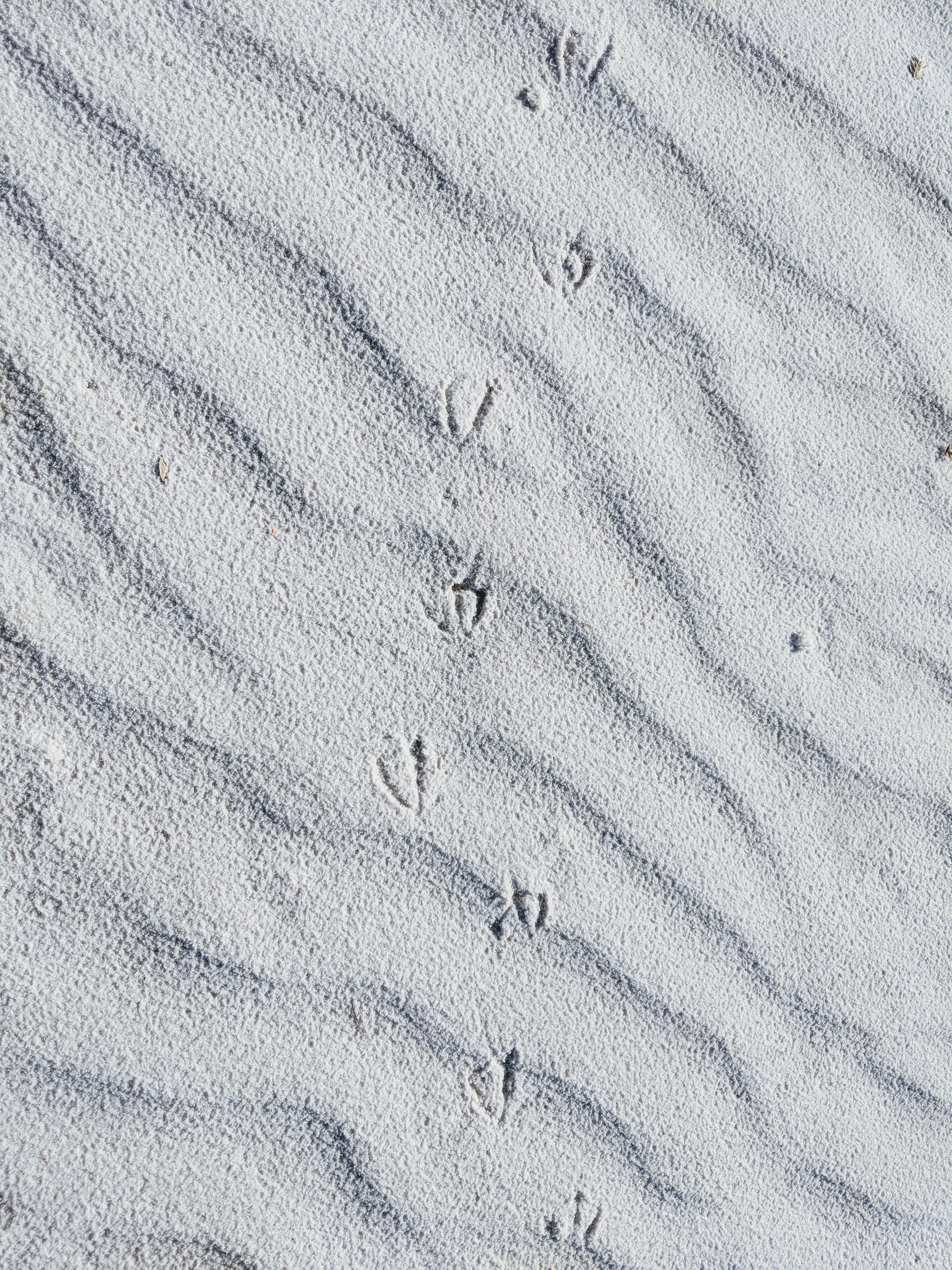 top view of sand dunes