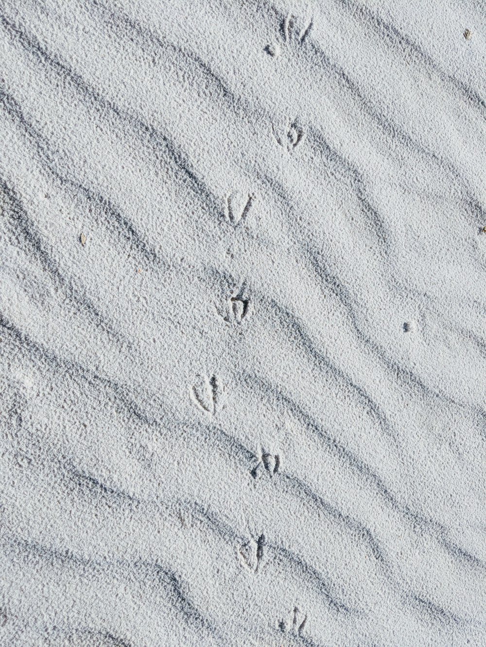 top view of sand dunes