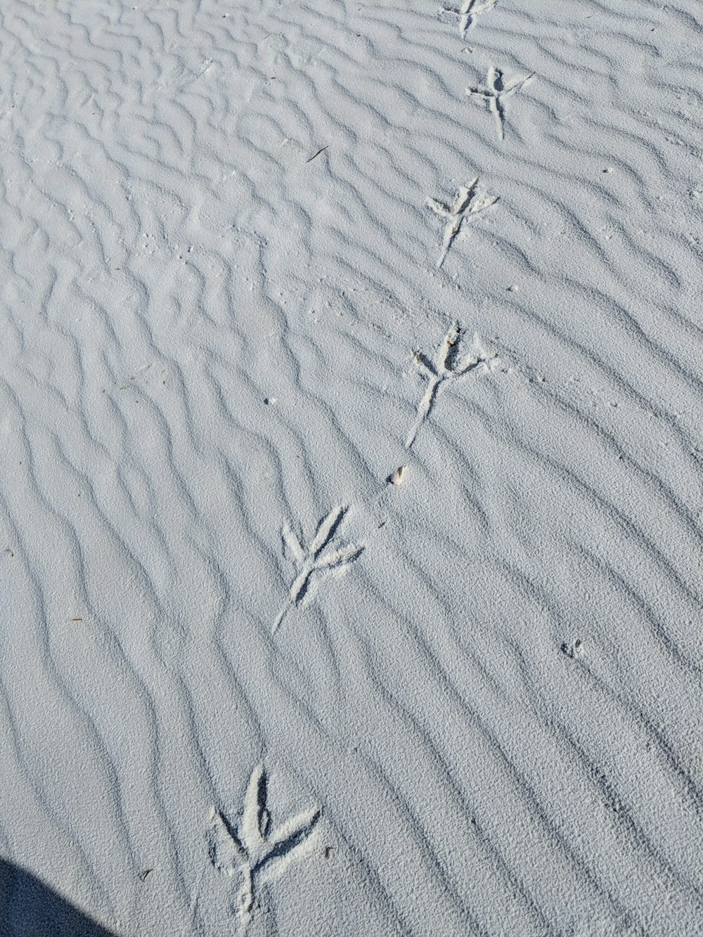 foot steps on sand