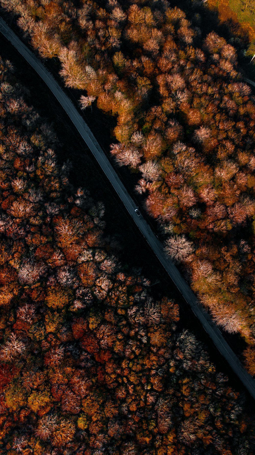 an aerial view of a road surrounded by trees