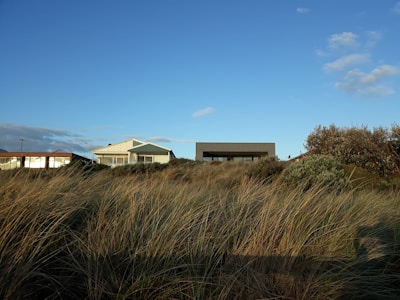 Several modern beach houses sit against a clear blue sky, framed by lush green bushes and dry, windswept grass in the foreground. The scene captures a tranquil seaside setting.