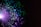 A burst of colorful lights resembling fiber optics with vibrant purples, blues, and greens against a dark background.
