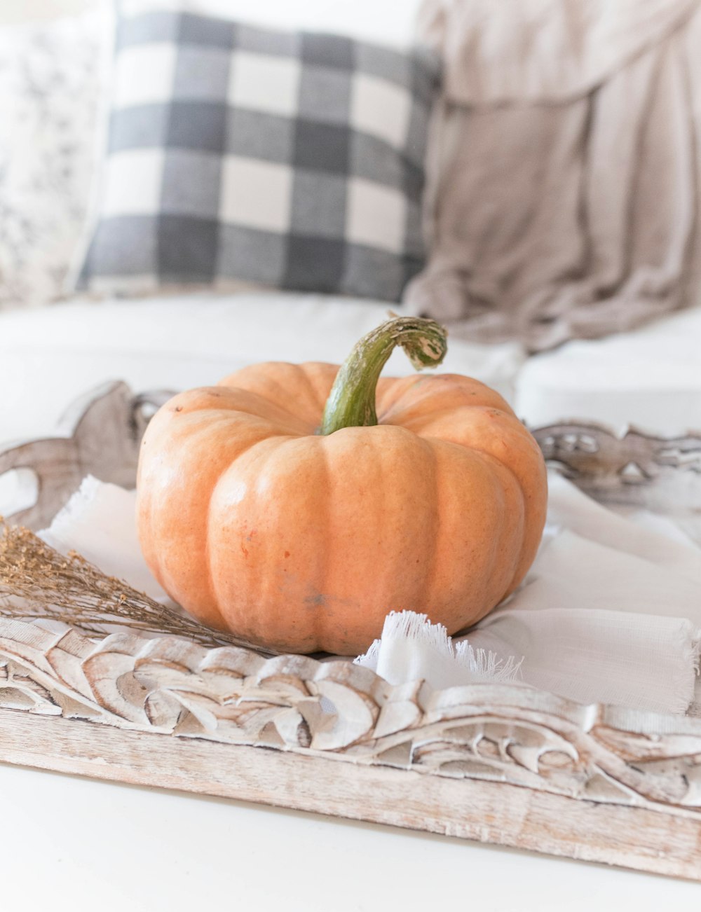 pumpkin on tray