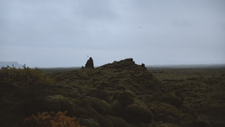 green hill near flowers