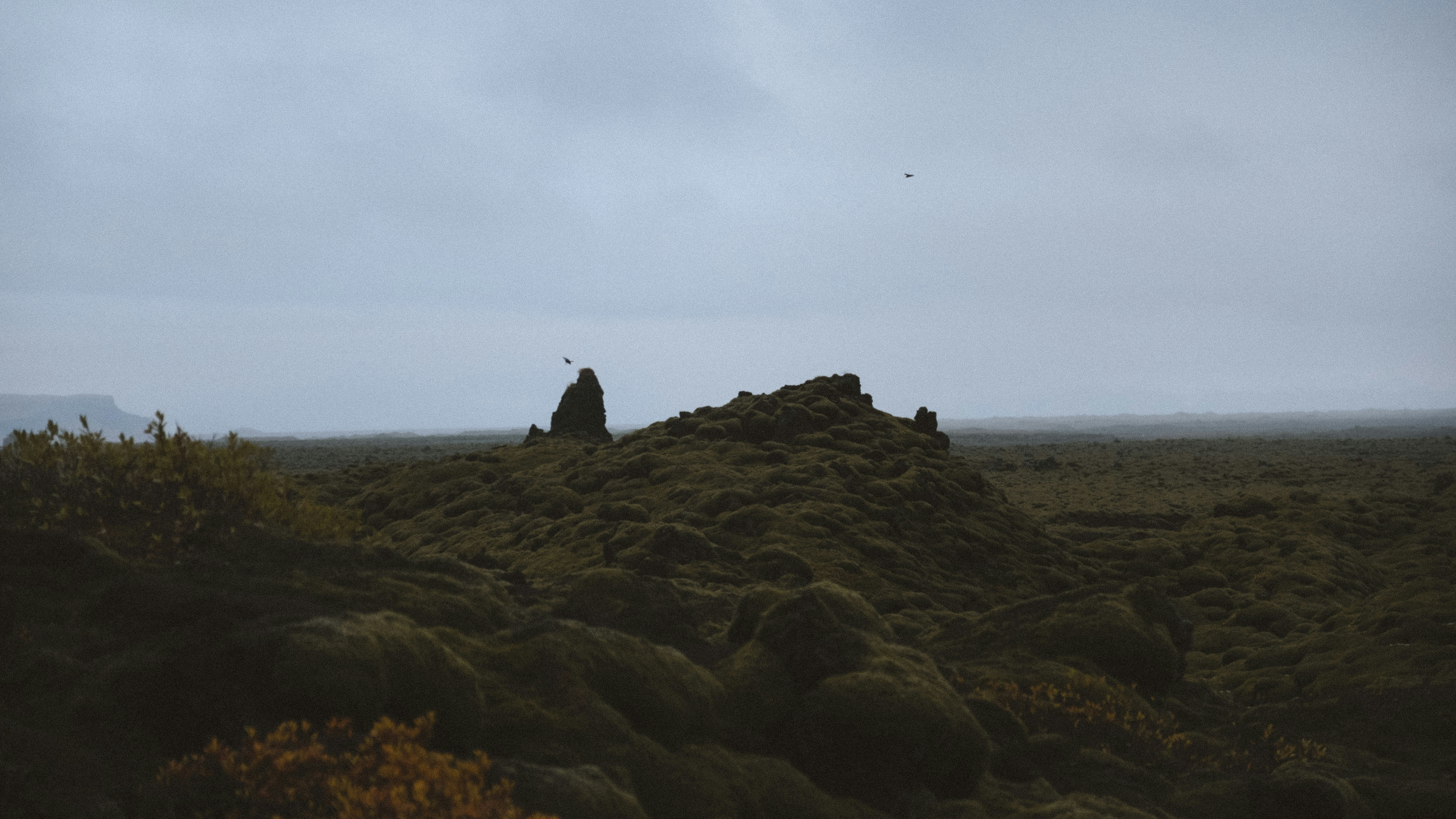 Featured image of post LMCache