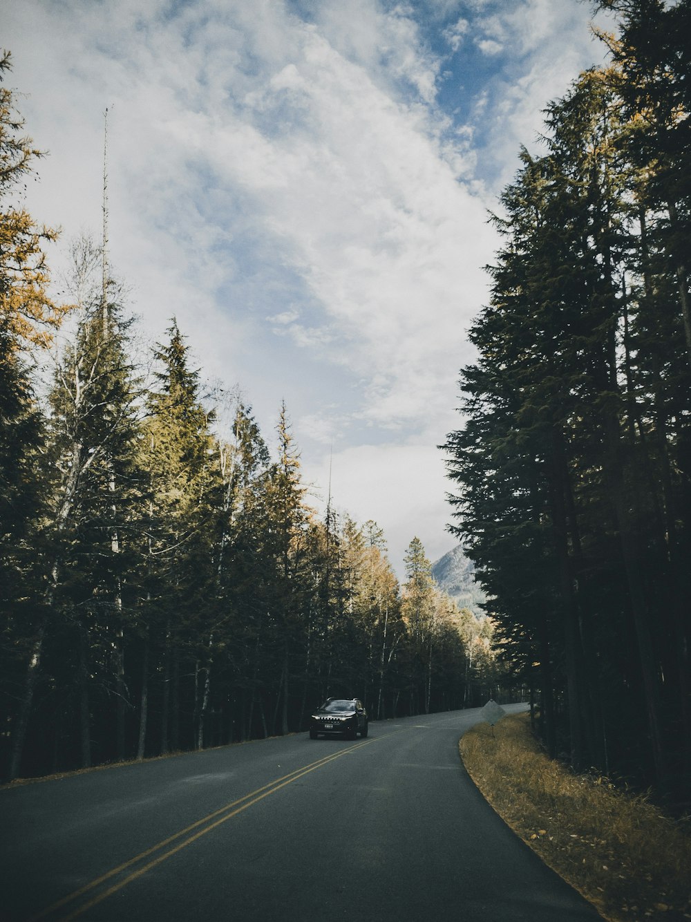 black car on road between trees