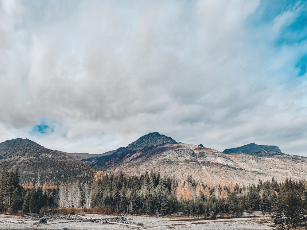 brown hills under white clouds