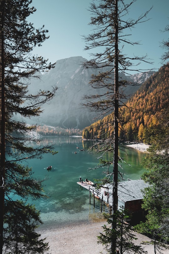 trees near body of water in front of mountain in Pragser Wildsee Italy