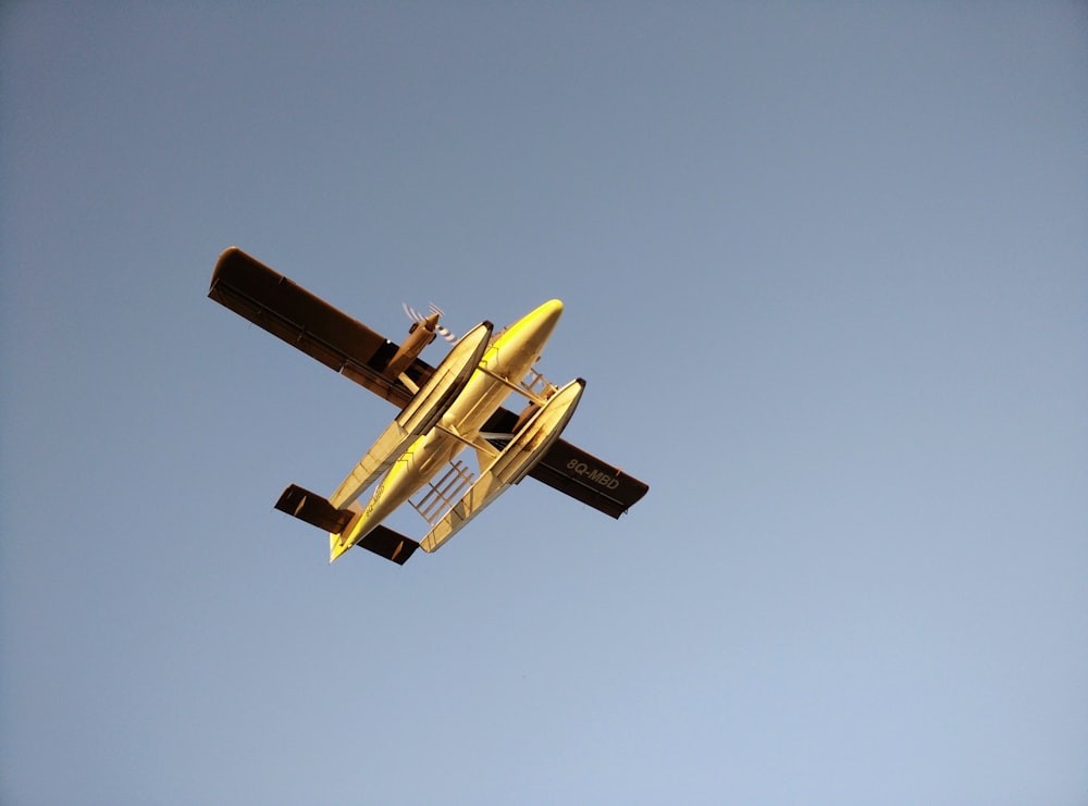 plano amarelo e preto na fotografia de foco