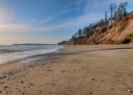 seashore during daytime in Alberni-Clayoquot Canada