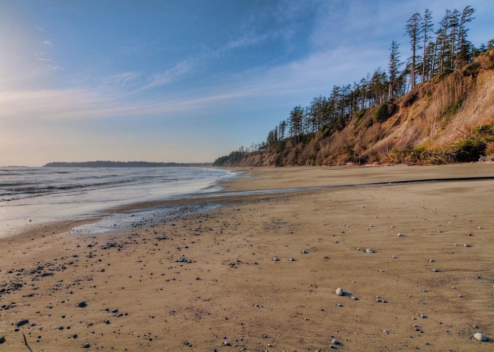 seashore during daytime