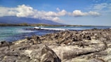 A rocky shoreline with a large group of marine iguanas basking in the sun. The background features a vibrant blue ocean with gentle waves, and a distant view of green vegetation and mountains under a mostly clear sky with a few scattered clouds.