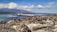 A rocky shoreline with a large group of marine iguanas basking in the sun. The background features a vibrant blue ocean with gentle waves, and a distant view of green vegetation and mountains under a mostly clear sky with a few scattered clouds.