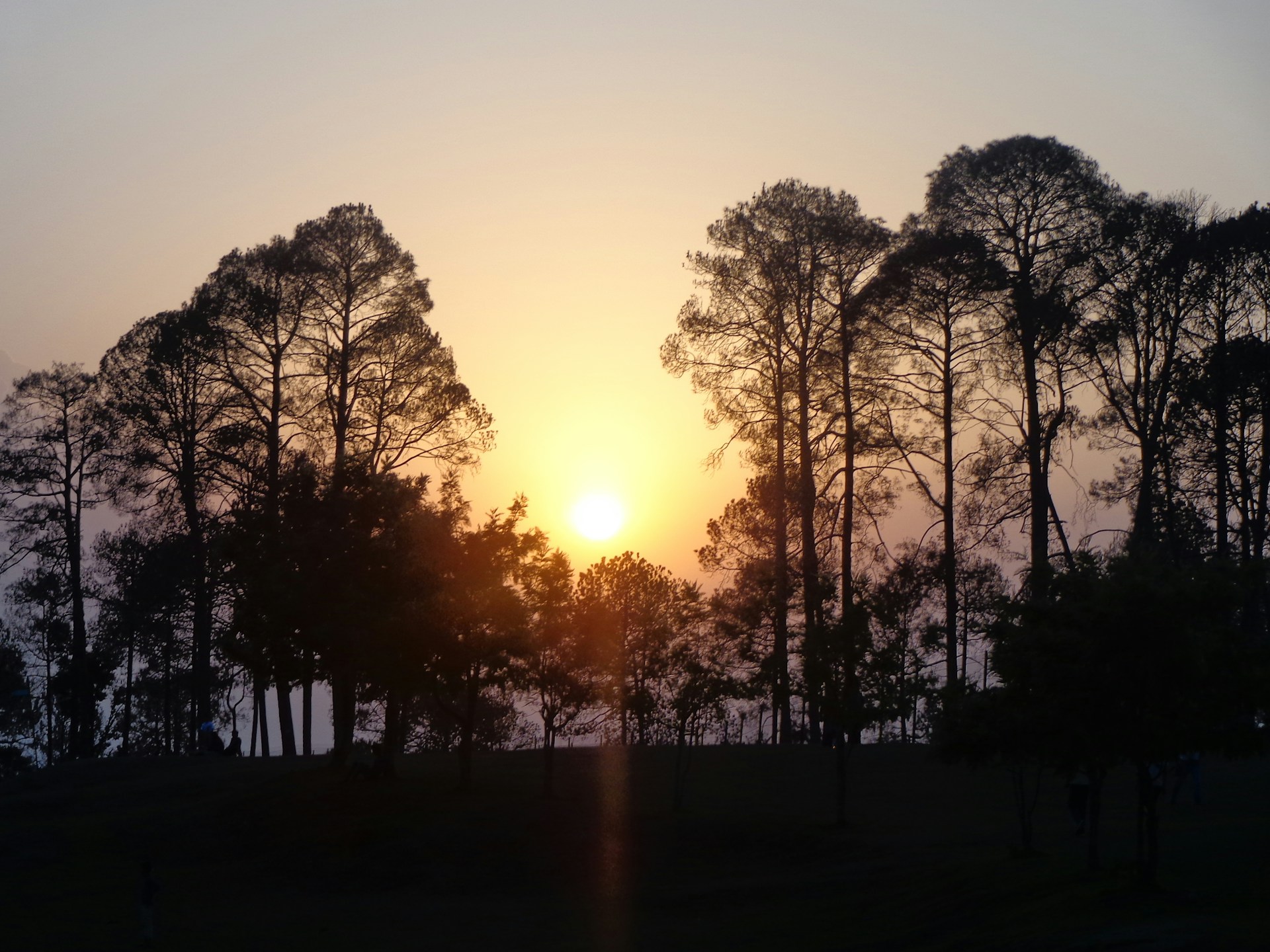 gray computer monitor
