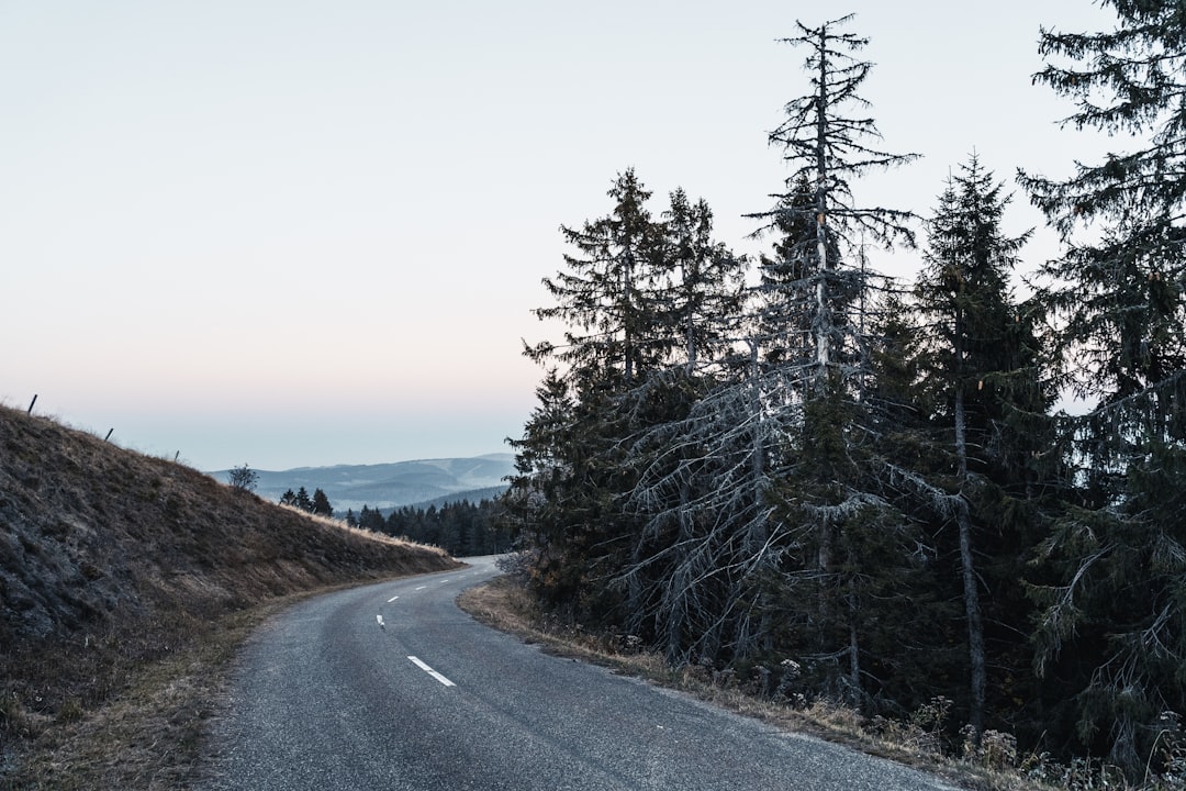 Mountain photo spot Belchen Rust