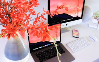 MacBook pro turned on