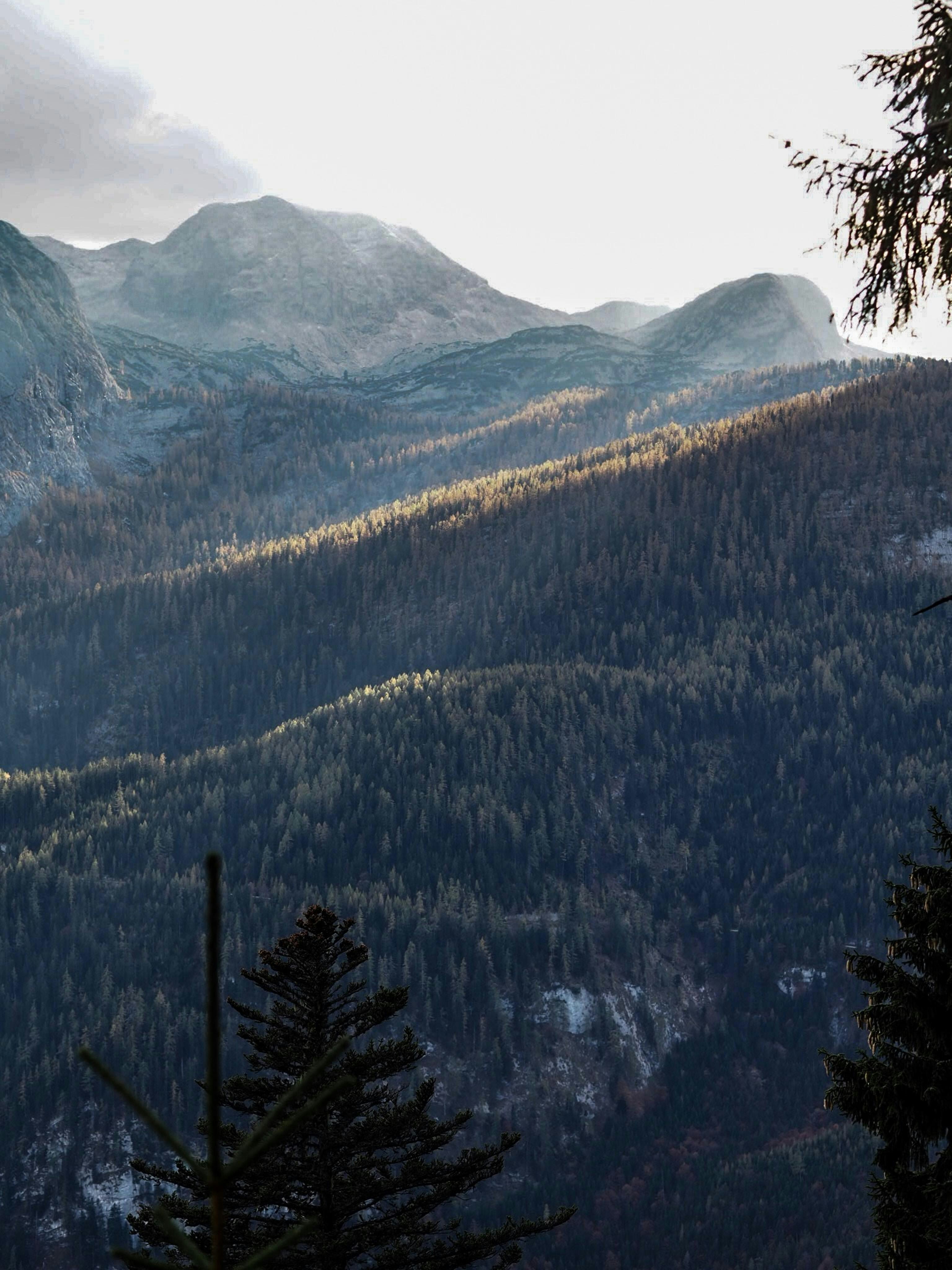 Photo by laurachouette