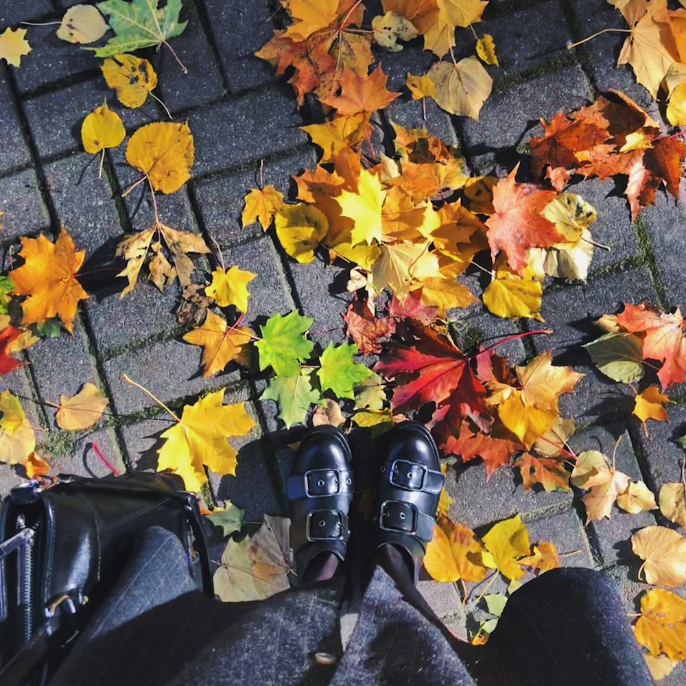 dried leaves