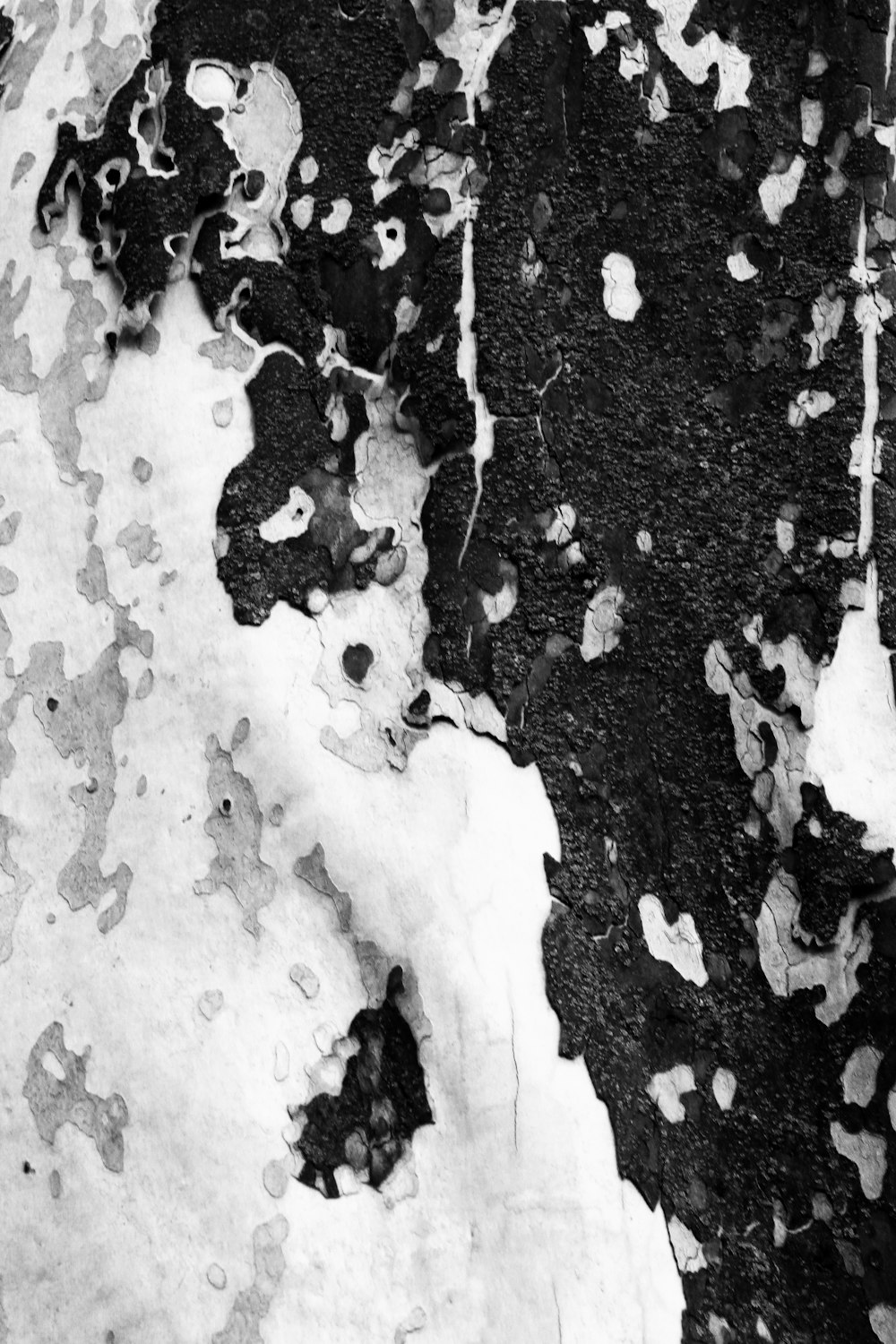 a black and white photo of snow and ice