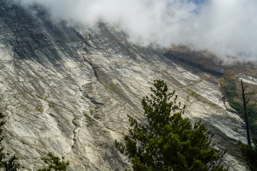 Montagna rocciosa durante il tempo nebbioso