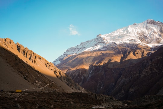 brown mountains in Khangsar Nepal