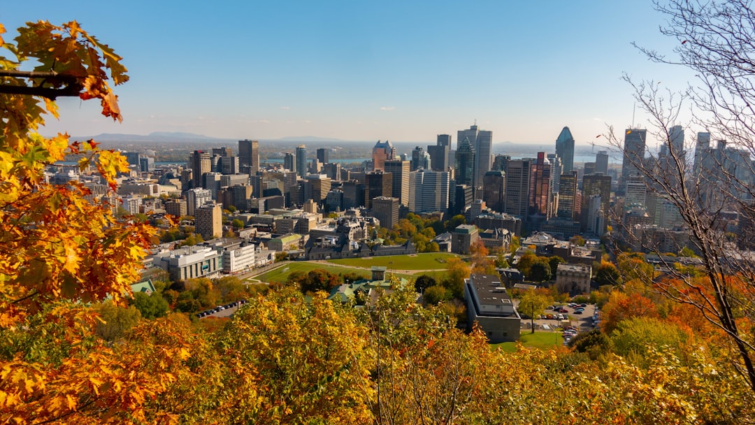 Skyline photo spot Mount Royal Park Plateau Mont-Royal