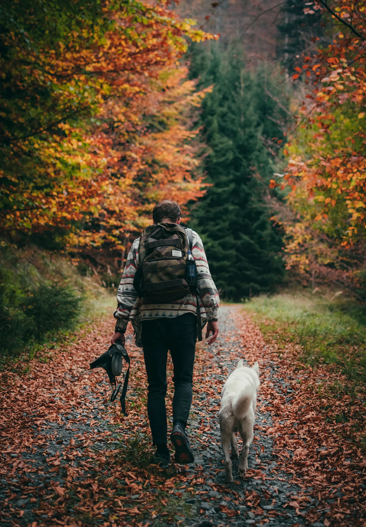 Truffle hunter walking with his dog through Macedonian woodland