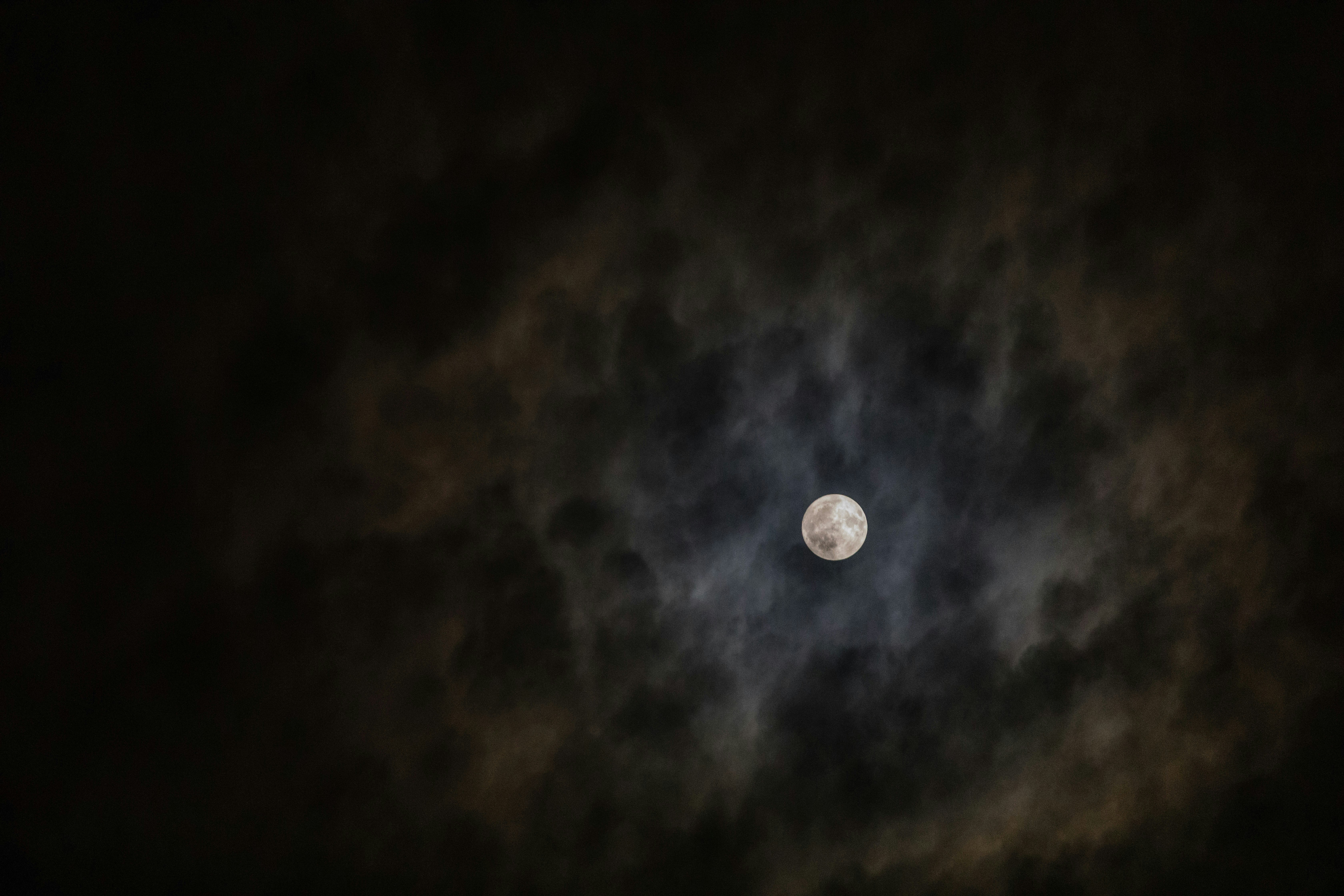 Photo by matthewtwhuang