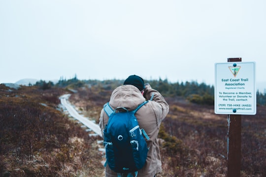 man standing beside road signage in an open field in Cabo Spear Canada