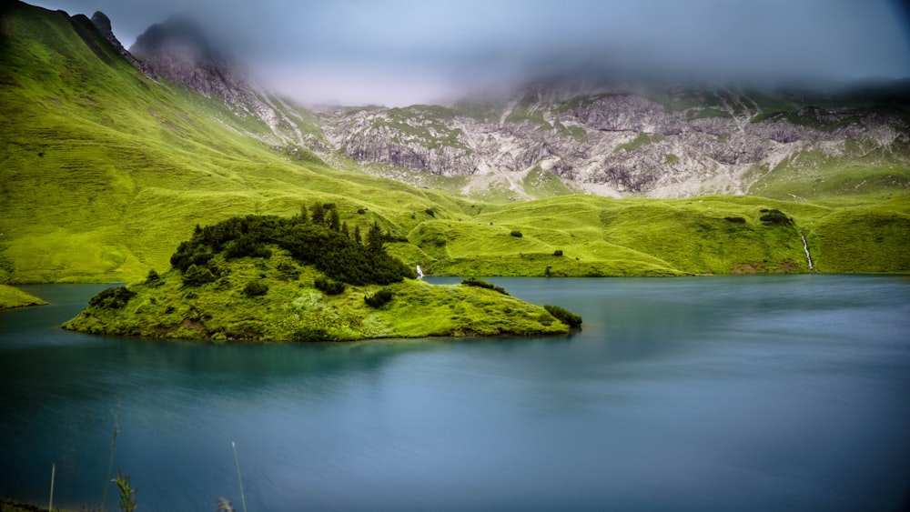 green grass field near body of water