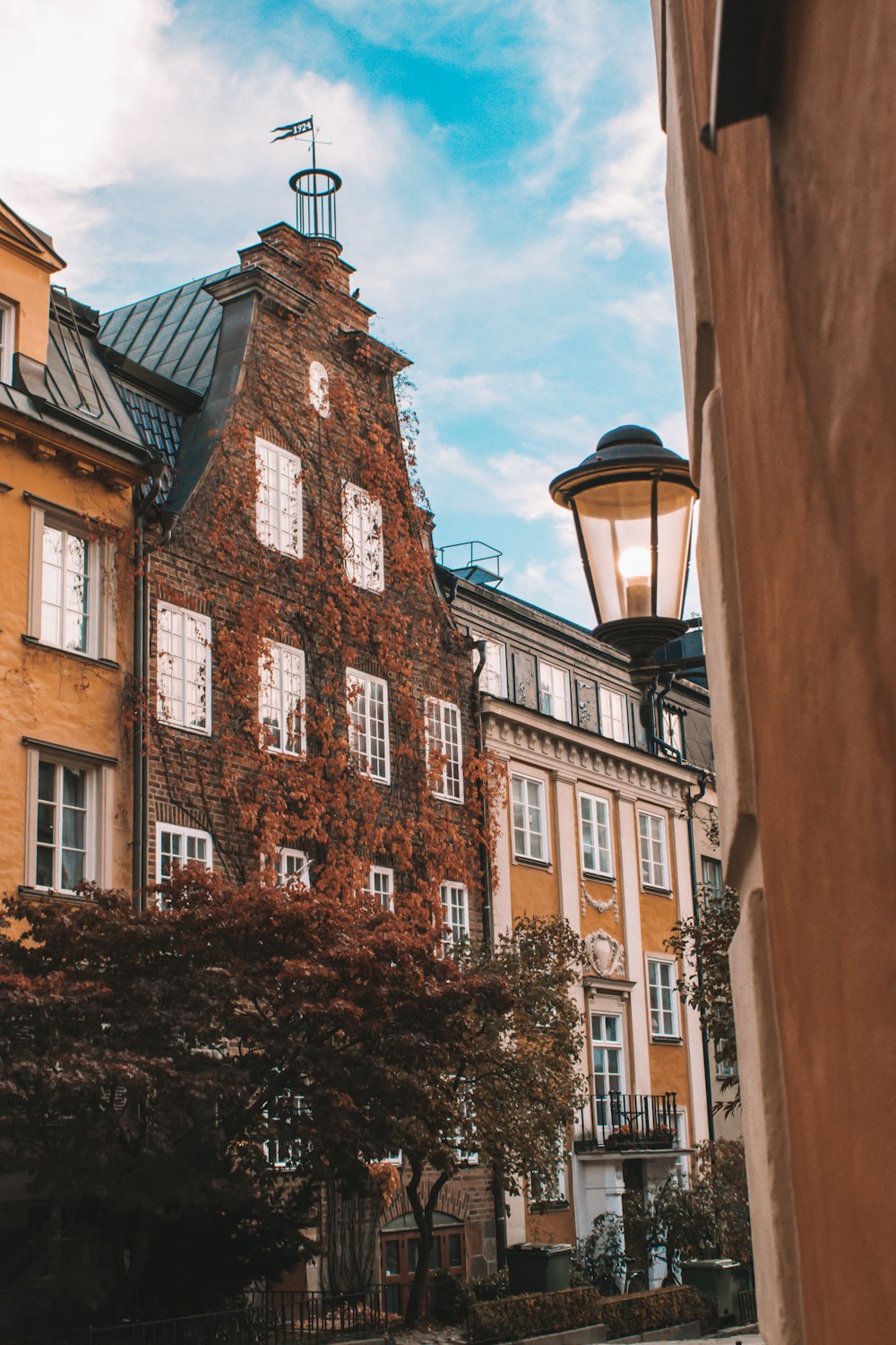 Tagsüber mit Pflanzen bewachsenes Haus