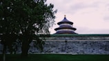 A traditional Chinese temple roof with multiple tiers and vibrant colors stands prominently behind a gray stone wall. A large, lush tree partially obscures the view on the left, with a grassy area in the foreground. The sky above is overcast, adding a somber tone to the scene.