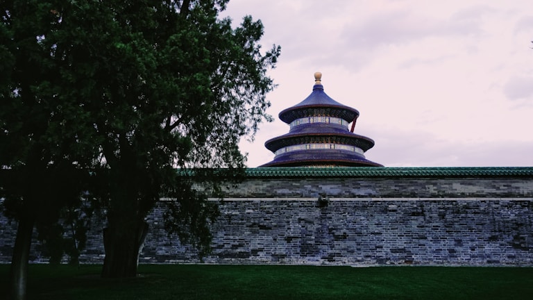 A traditional Chinese temple roof with multiple tiers and vibrant colors stands prominently behind a gray stone wall. A large, lush tree partially obscures the view on the left, with a grassy area in the foreground. The sky above is overcast, adding a somber tone to the scene.