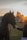 A serene scene of a person gently holding a horse’s face in a sunlit field.