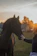 A smiling rider gently petting a calm horse at sunset in Tamaris Horse stables.