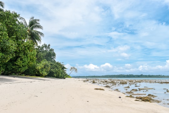 green trees on shore under cloudy blue sky during daytime in Andaman and Nicobar Islands India