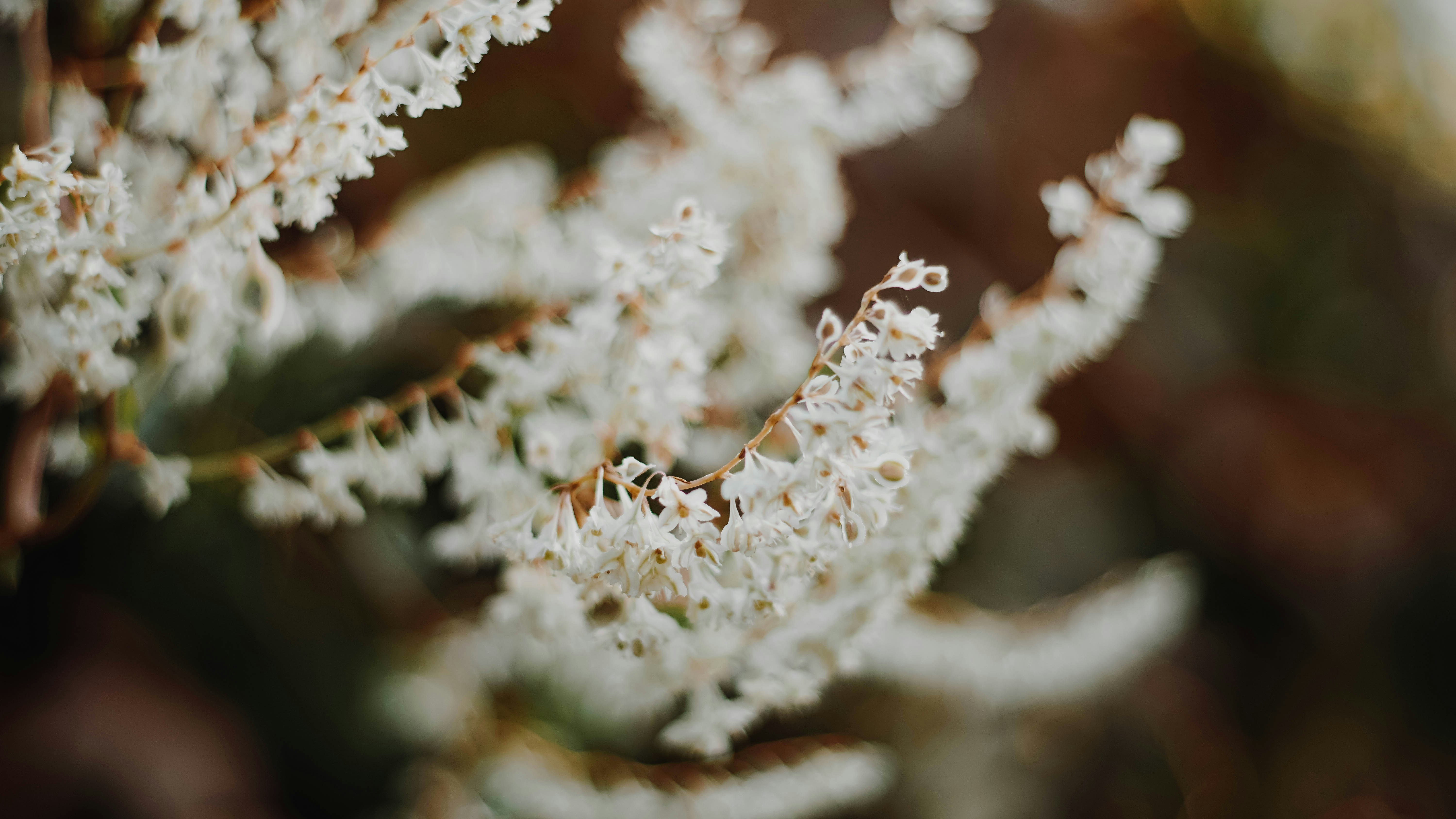 Photo by annadudkova