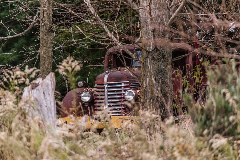 red coupe near trees