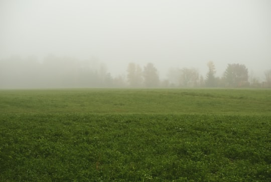 green grass field at daytime in Crabtree Canada