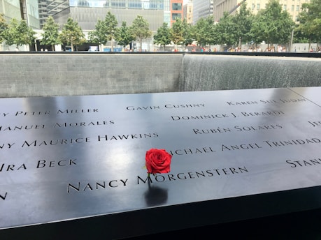 A rose is placed on a memorial with engraved names at a reflection pool. Surrounding trees and nearby buildings are visible in the background, creating a somber and respectful atmosphere.