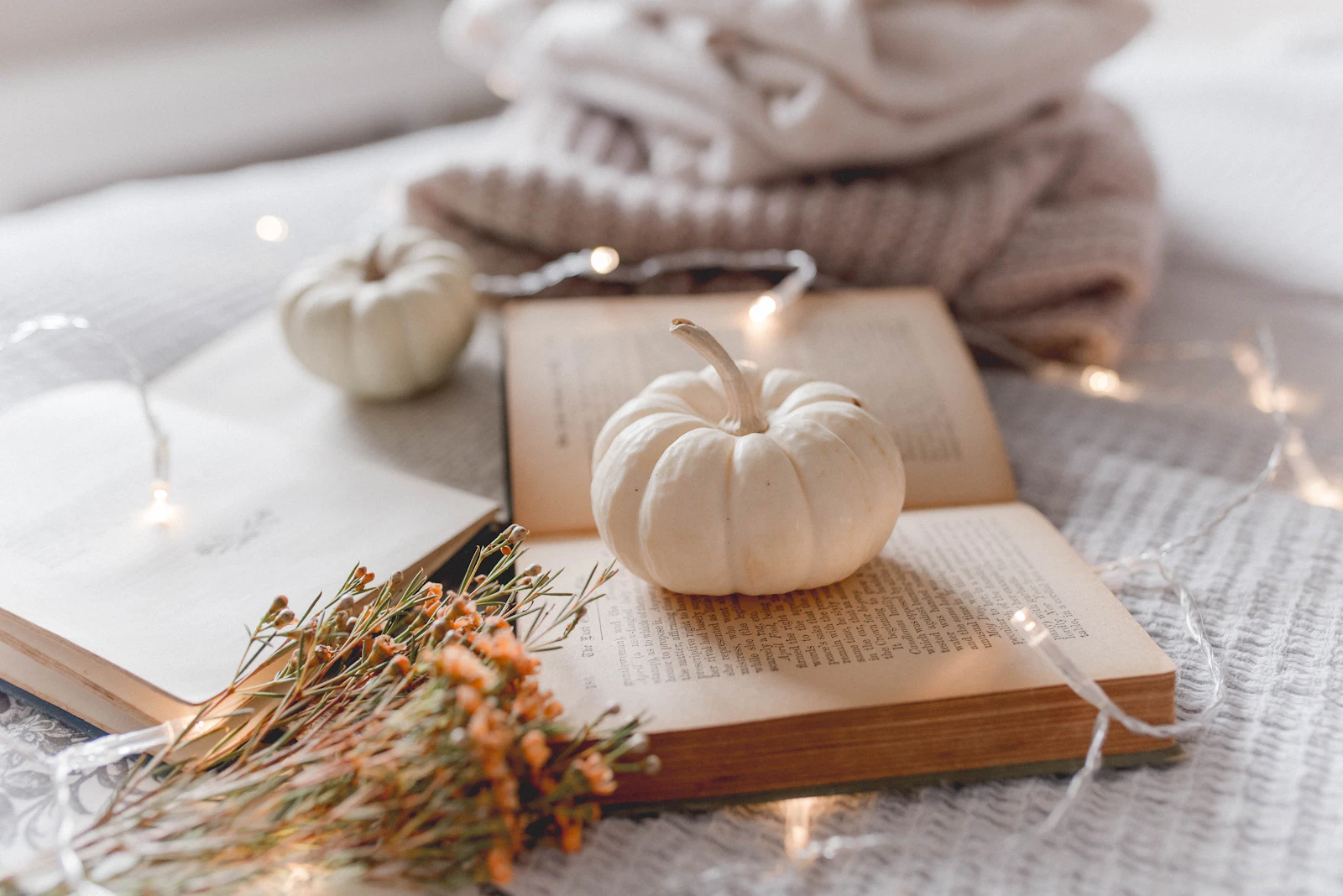 Livre ouvert, petites courges blanches, guirlande lumineuse et plaid : ambiance calme d'automne