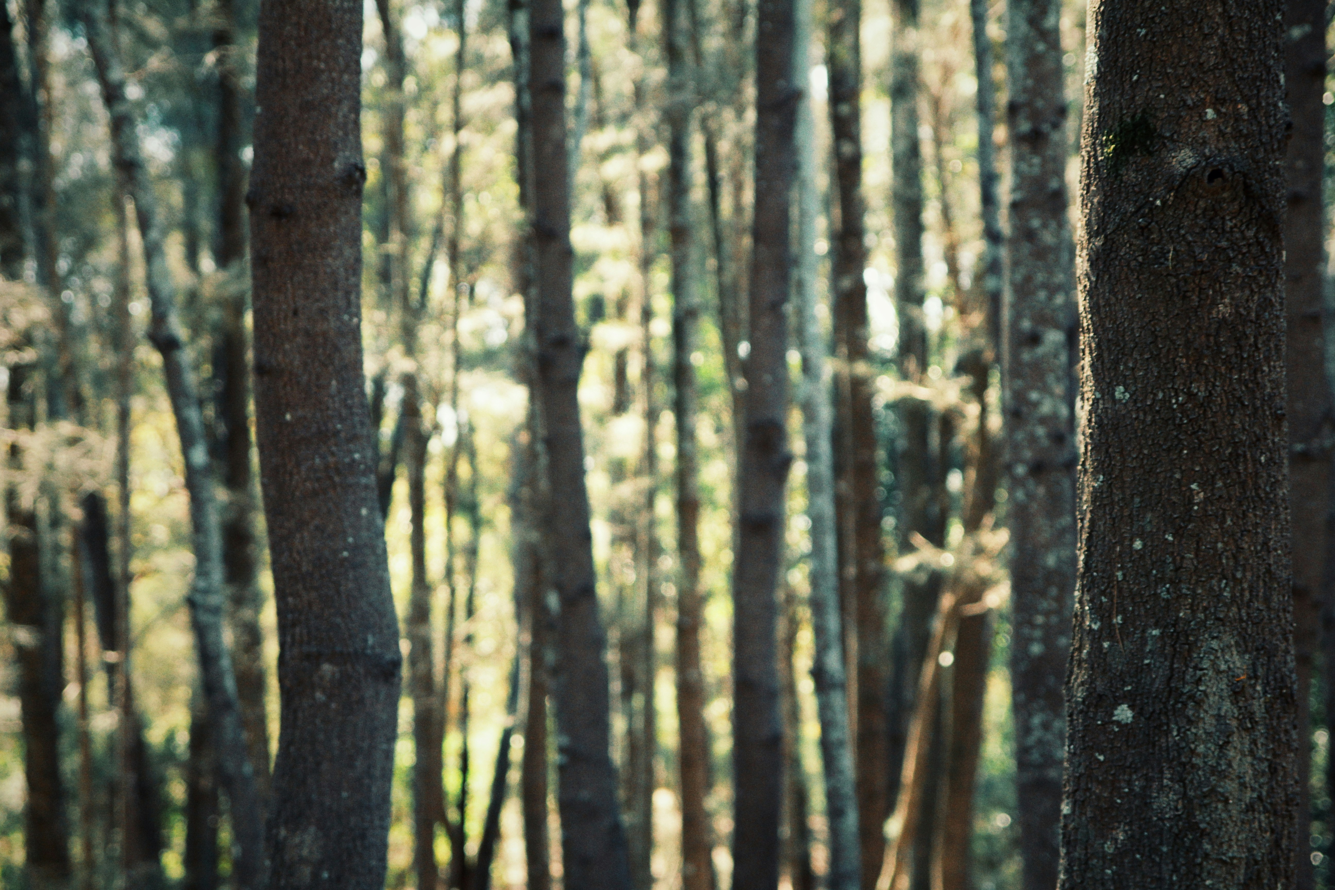 Photo by urbanpiction