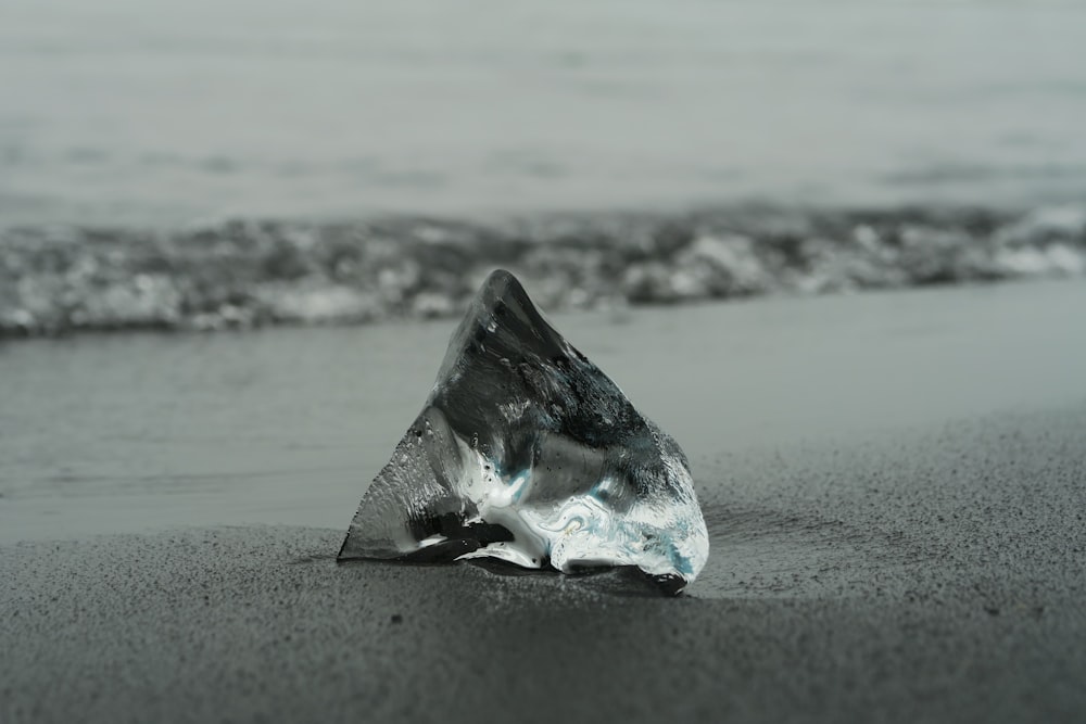 grayscale photography of glass shard by the sea