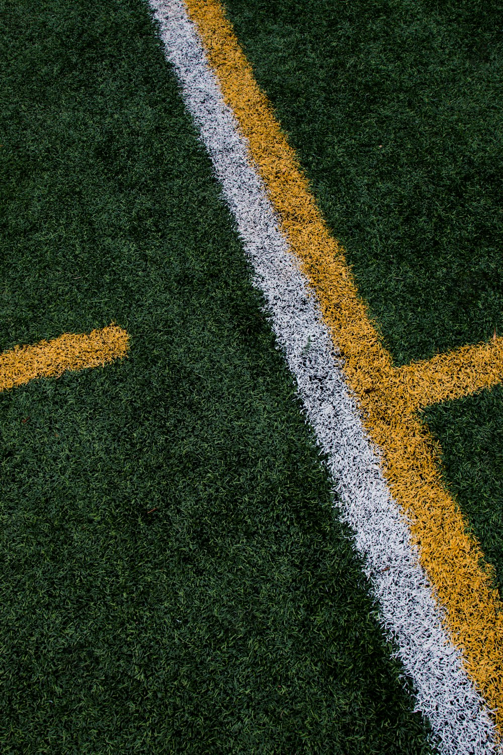 um close up de uma linha amarela e branca em um campo