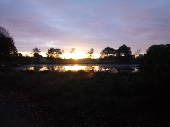 A tranquil landscape featuring a serene lake reflecting the colors of a sunset or sunrise. The sky is filled with soft hues of pink, purple, and orange. The horizon is lined with silhouettes of trees, creating a peaceful and calm atmosphere.
